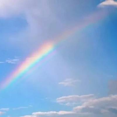 2023澳门资料大全正版手机app下载